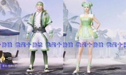 吃鸡军需币皮肤爆料最新,神秘皮肤即将亮相，军需币价值再升级！