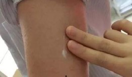 吃鸡皮肤爆料最新队服,队服设计亮点抢先看