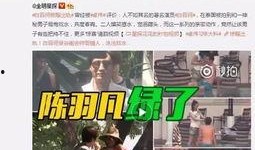 明星出轨事件爆料最新,当红明星出轨事件被曝光，真相令人震惊