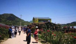 邯郸花溪谷最新爆料事件,神秘事件引发热议，真相即将揭晓！