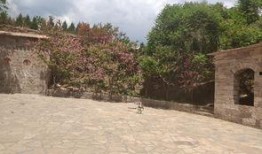 邯郸花溪谷最新爆料事件,神秘事件引发热议，真相即将揭晓！