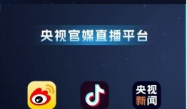 小奇最新爆料新闻视频下载,最新爆料新闻视频幕后真相