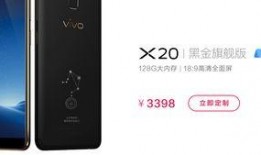 vivox110最新爆料,揭秘全新旗舰手机的神秘面纱