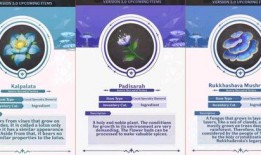 须弥3.0剧情爆料最新,神秘力量觉醒，命运之战一触即发！