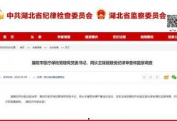 湖北爆料最新消息视频,视频揭露惊人真相！