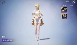 中转盘最新爆料和平精英,揭秘和平精英神秘新玩法与更新内容