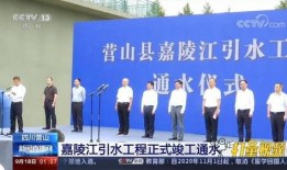 营山新闻爆料最新消息,最新爆料揭示重大事件进展！