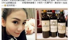 港澳最新爆料新闻报道视频,视频揭秘事件内幕，真相令人震惊