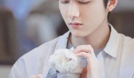 陈昊宇肖战最新爆料图片,揭秘幕后故事与精彩瞬间