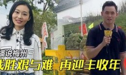 梅州最新爆料新闻视频,视频揭露惊人真相，引发社会关注