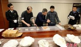 大连海关爆料事件最新,揭秘背后真相与影响