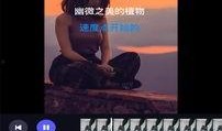 葫芦最新爆料视频下载免费,免费下载背后的秘密与惊喜