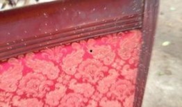 重庆最新爆料台,揭秘城市热点事件背后的真相