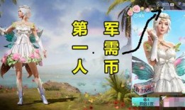 吃鸡军需币皮肤爆料最新,神秘皮肤即将亮相，军需币价值再升级！