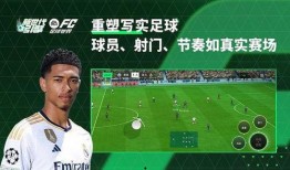 fc足球世界最新爆料,独家爆料揭示新赛季转会风云与神秘新援