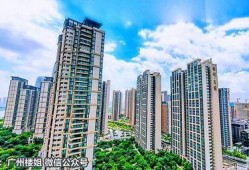 最新广州房产爆料,揭秘热门区域价格飙升背后的秘密