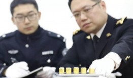 大连海关爆料事件最新,揭秘背后真相与影响