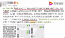陕西爆料最新消息视频,视频揭露惊人内幕，揭秘事件真相
