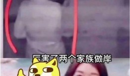 erise最新爆料招供,最新爆料招供事件全解析