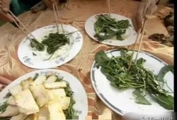 淄博吃瓜爆料事件最新消息,最新进展揭秘，真相即将揭晓