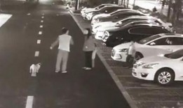 杭州徐女士最新爆料,揭秘某知名企业惊人内幕