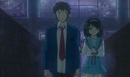 赤犬最新爆料视频大全,揭秘热点事件背后的真相