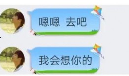衡水高中爆料事件视频最新,揭秘校园内幕，真相令人震惊！