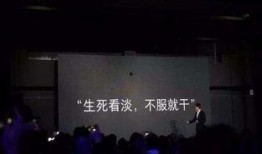 小米员工最新爆料视频,揭秘公司最新动态与未来规划！”