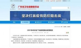 广州感情爆料最新消息今天,浪漫瞬间刷屏网络